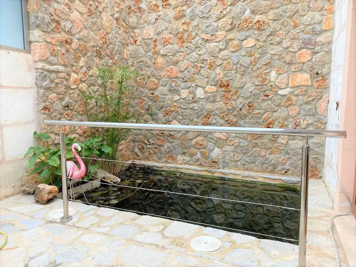 Ferienhaus Ideal Property Mallorca - Cal Tio Sa Pobla