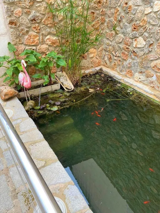 Ideal Property Mallorca - Cal Tio Sa Pobla Ferienhaus